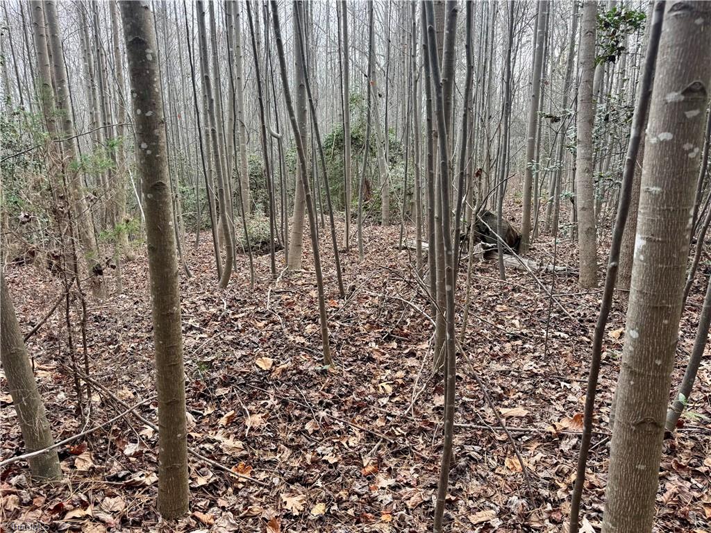 0 Dover Church Road Seagrove, NC 27341 - Photo 6 of 23