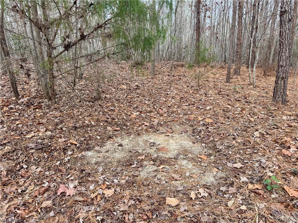 0 Dover Church Road Seagrove, NC 27341 - Photo 10 of 23