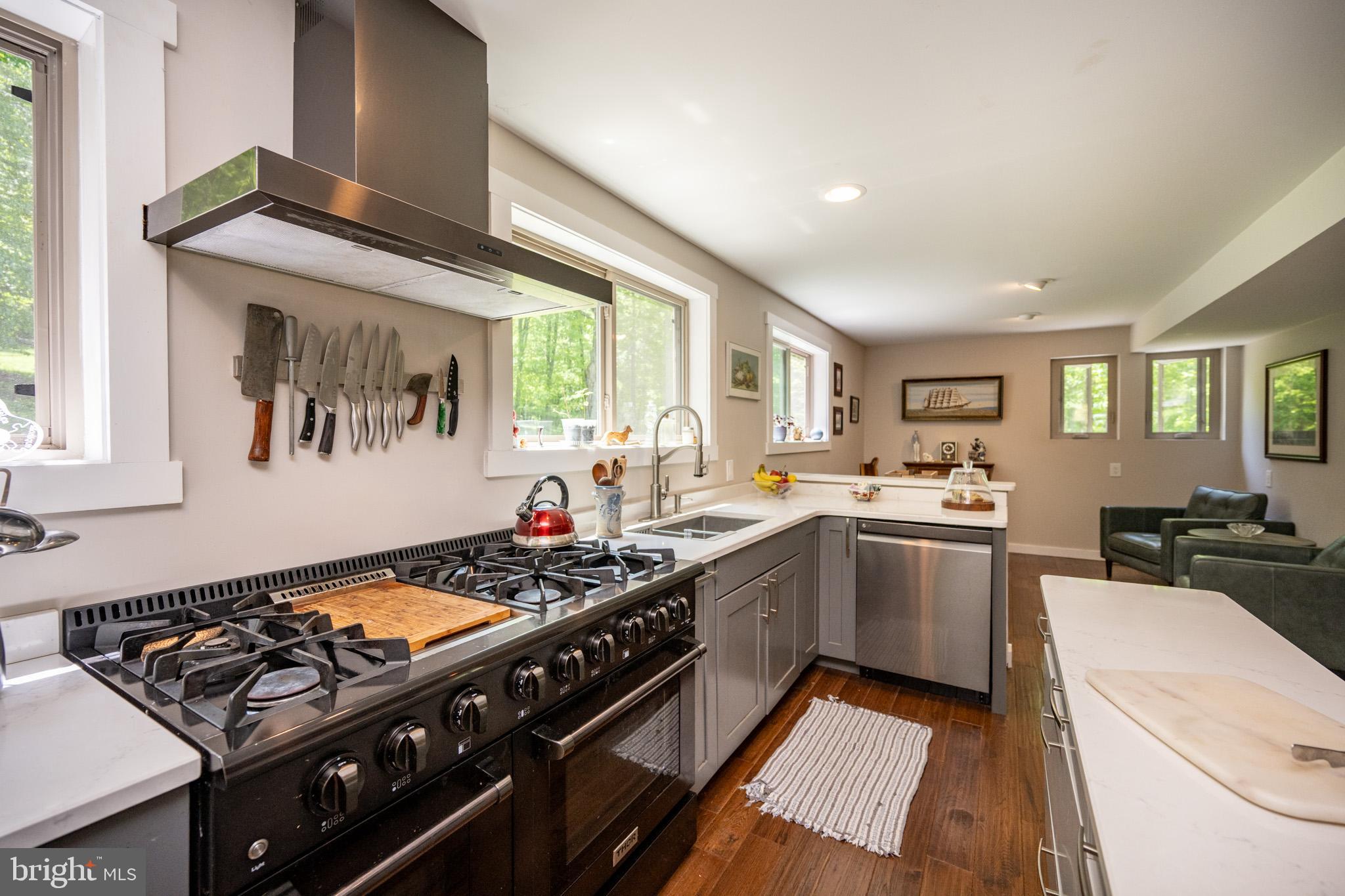 2250 Hoyes Run Road McHenry, MD 21541 - Photo 18 of 93 High-End appliances.