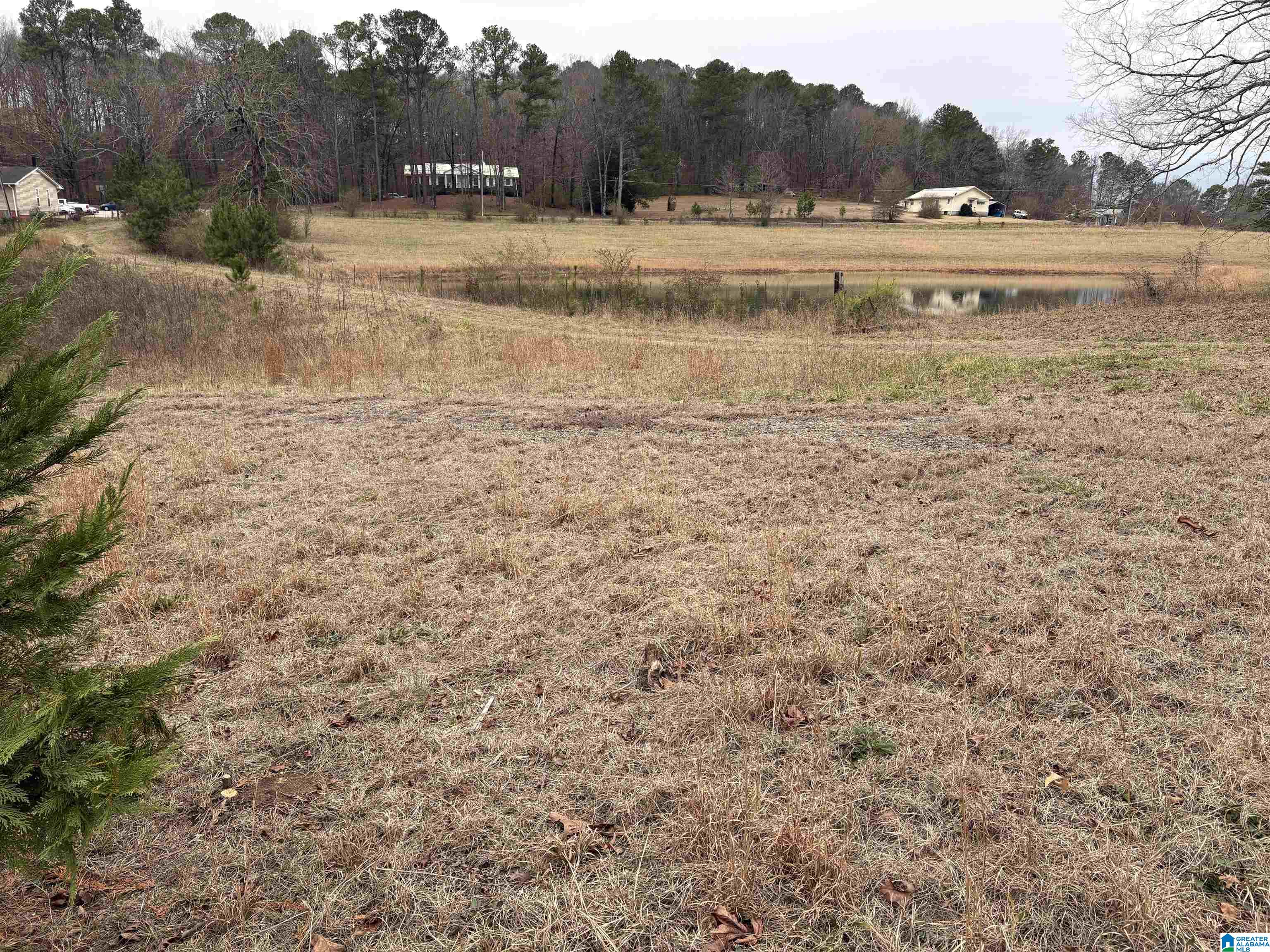 3349 Nail Road, Unit 40 6 ACRES / Warrior, AL 35180 - Photo 6 of 16