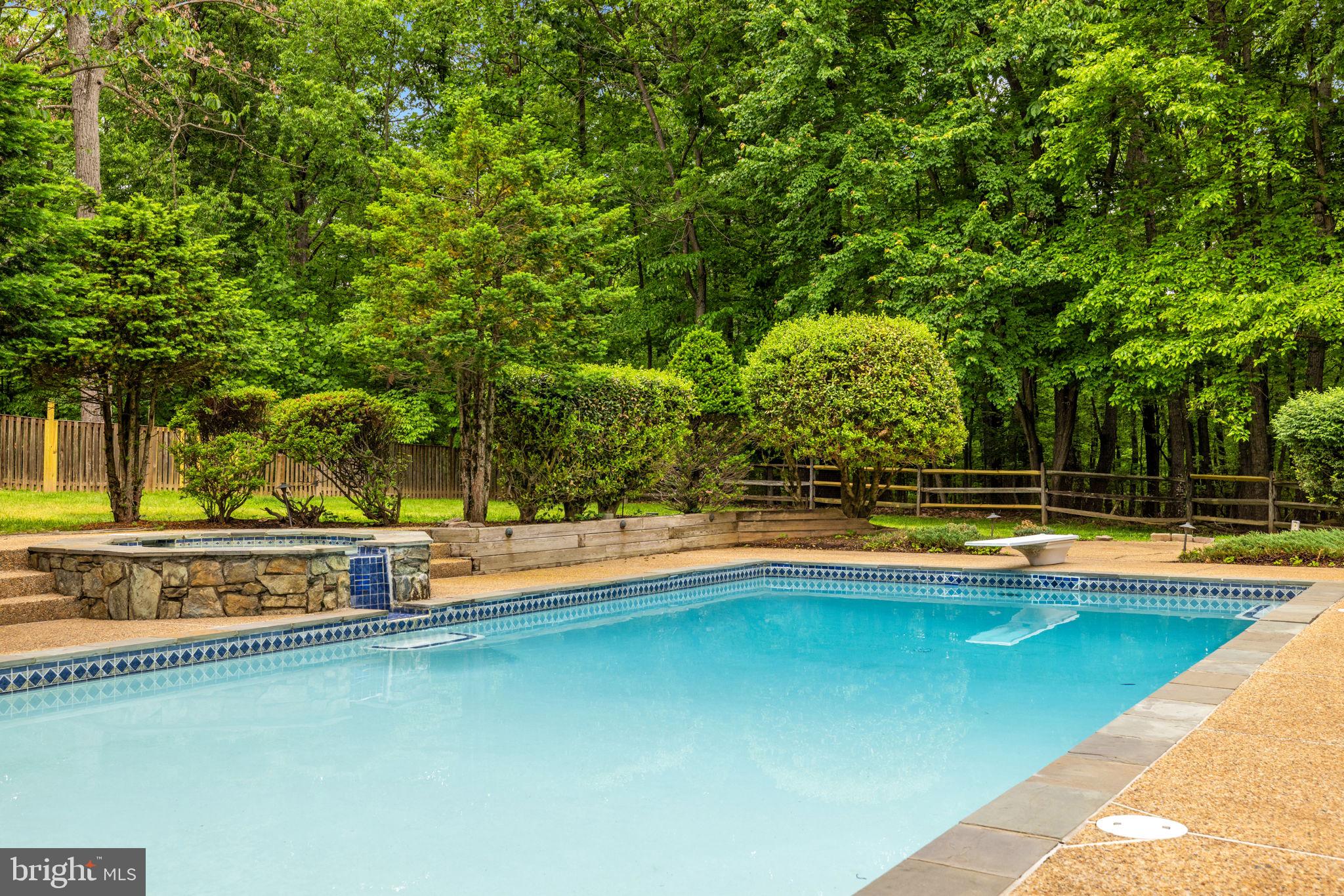 41726 Stumptown Road Leesburg, VA 20176 - Photo 56 of 91 Large Inground Pool with Spa