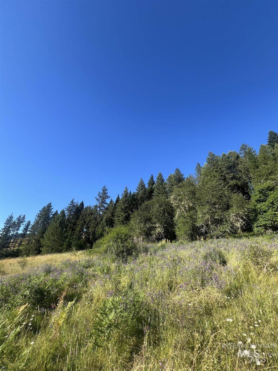 Nka Clearcreek Road Kooskia, ID 83539 - Photo 10 of 25 View of wooded area