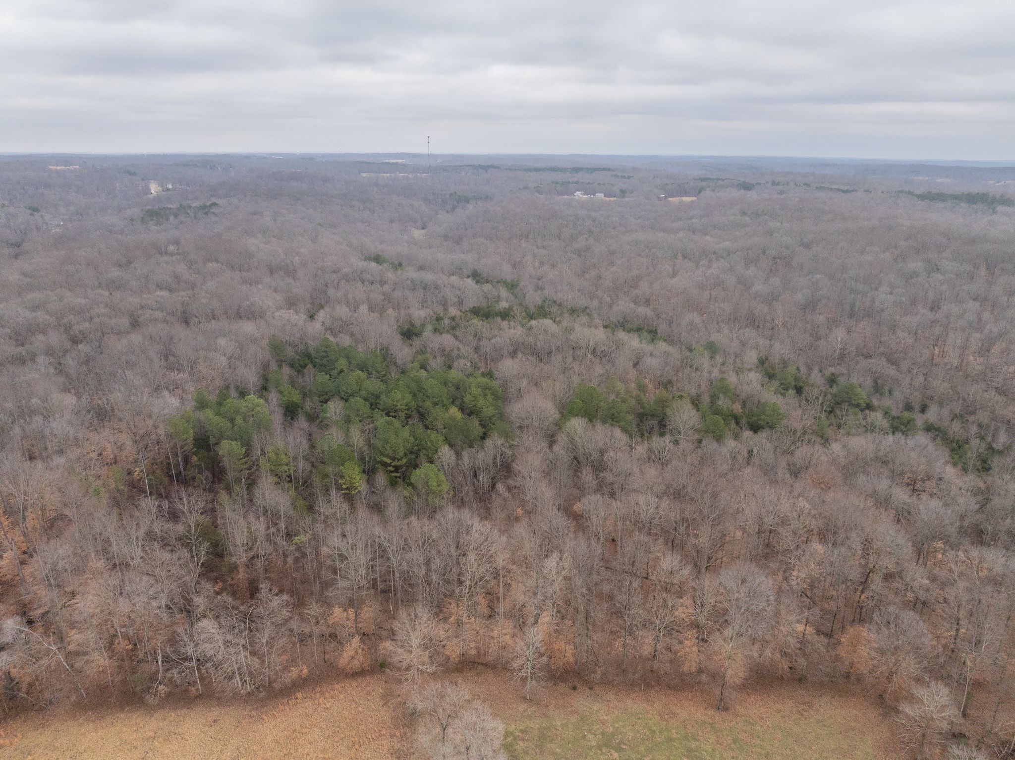 0 Wiley Branch Road Dickson, TN 37055 - Photo 14 of 27