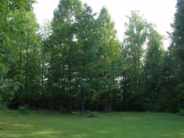 Other. Backyard