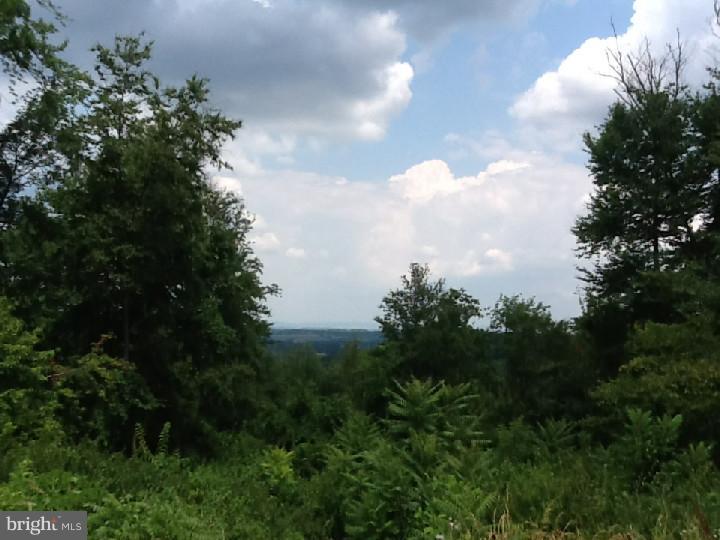213 Chapel Hill Road Sinking Spring, PA 19608 - Photo 24 of 25