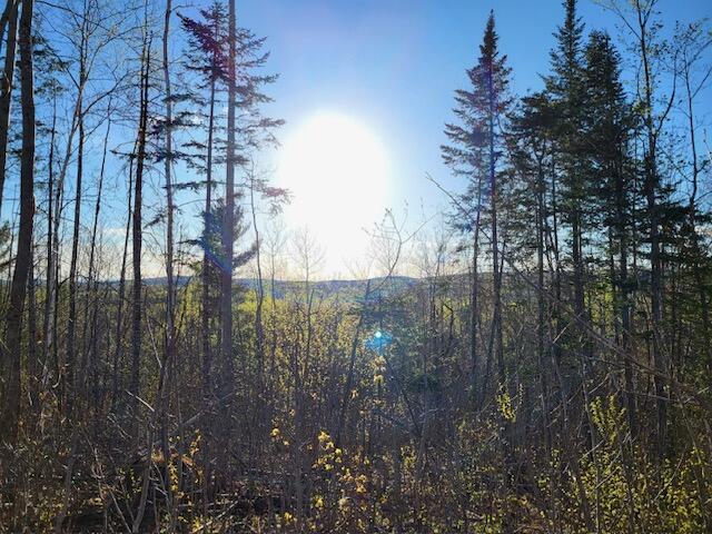 Lot 4 South Oakfield Road Oakfield, ME 04763 - Photo 13 of 16 image15