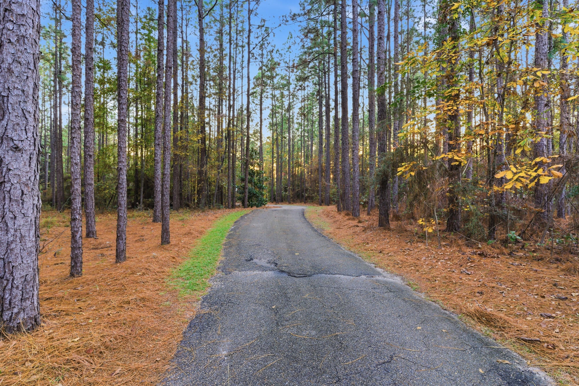 15 Lakeridge Point Lumberton, MS 39455 - Photo 35 of 41 Gallery Image 35