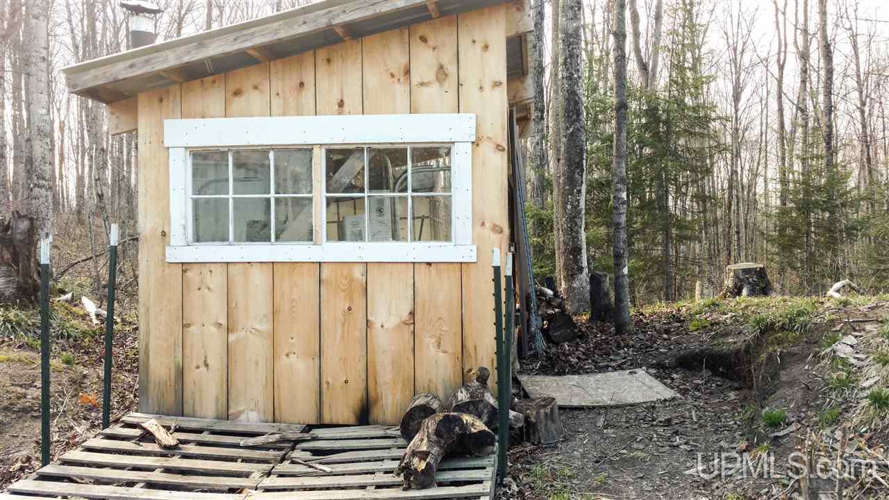 305 Town Hall Road Skandia, MI 49885 - Photo 35 of 36
