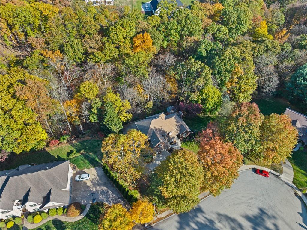 131 Hidden Valley Road Murrysville, PA 15668 - Photo 45 of 50 a view of a garden with plants