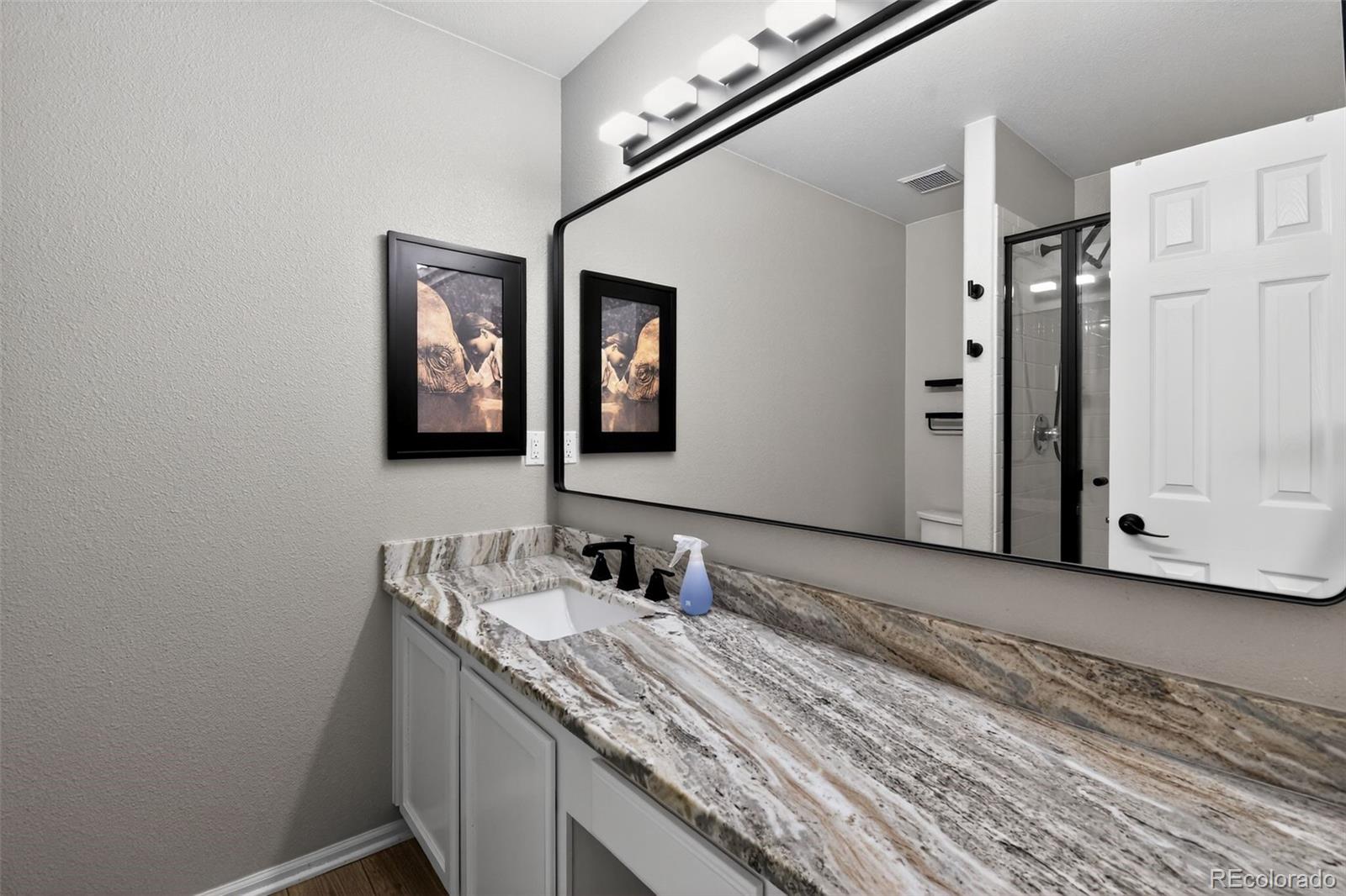 907 Riddlewood Lane Highlands Ranch, CO 80129 - Photo 19 of 33 Gallery Image 19