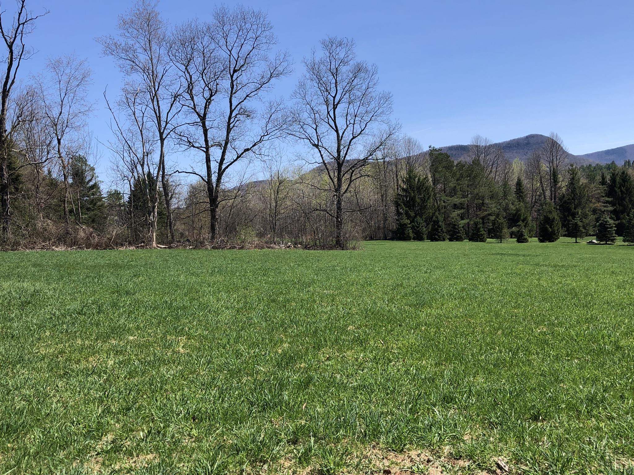 Lot 5 Crampton Road Castleton, VT 05735 - Photo 6 of 9
