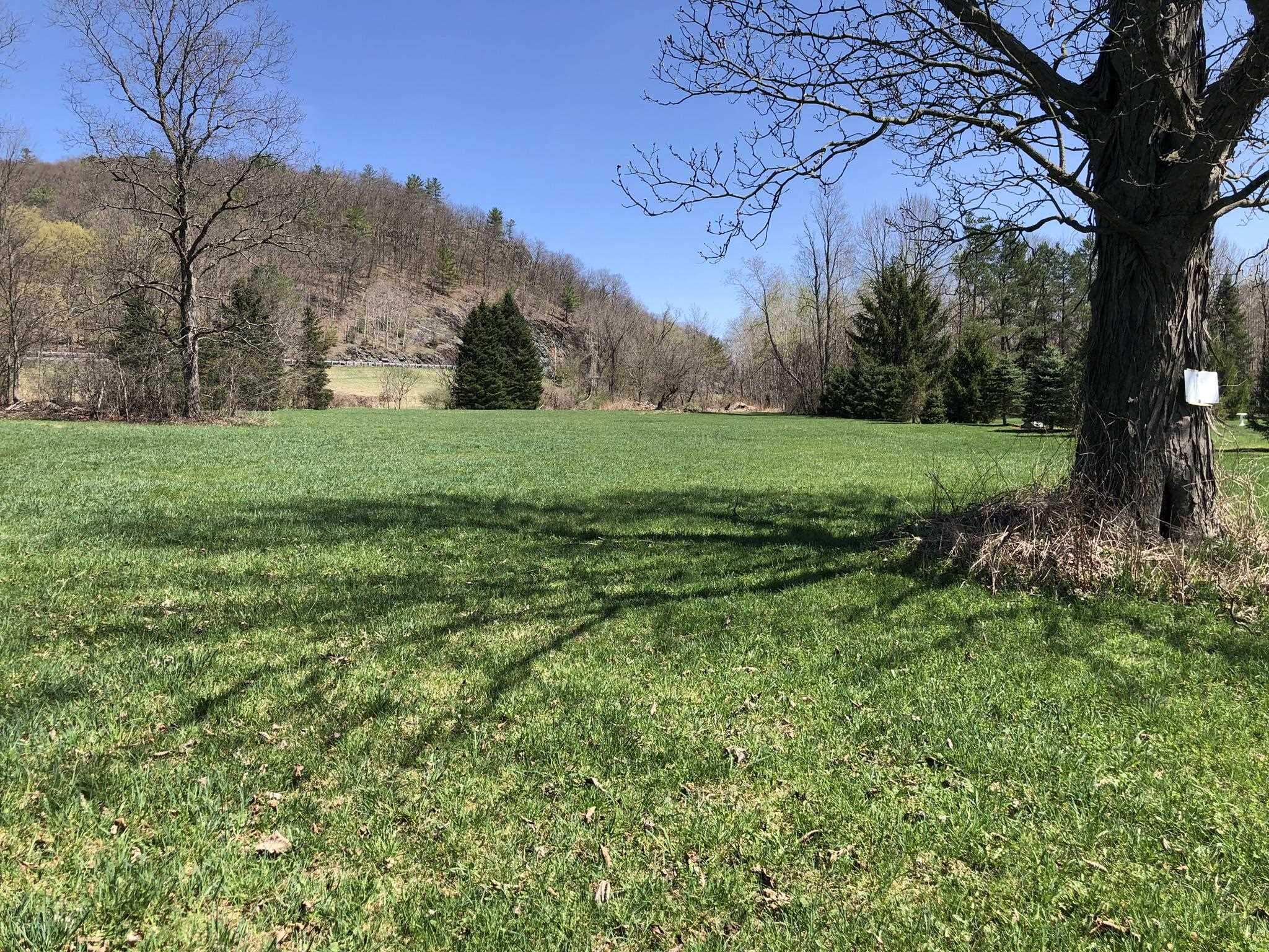 Lot 5 Crampton Road Castleton, VT 05735 - Photo 8 of 9