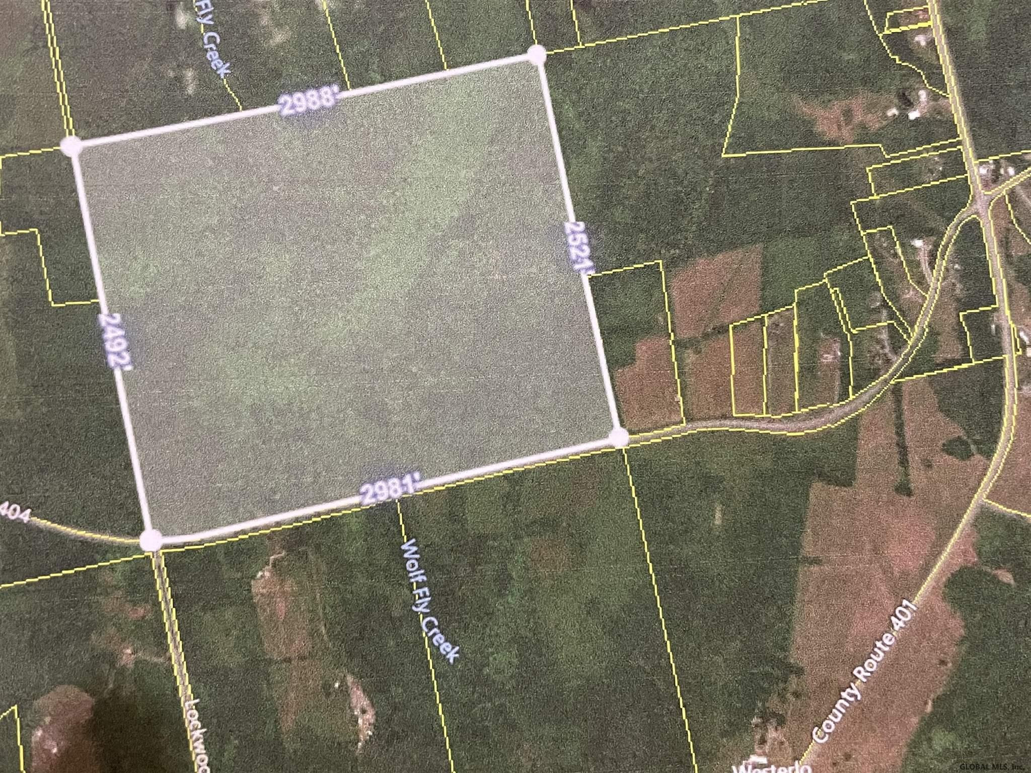 0 County Rt 404 Westerlo, NY 12193 - Photo 3 of 3 Photo 3