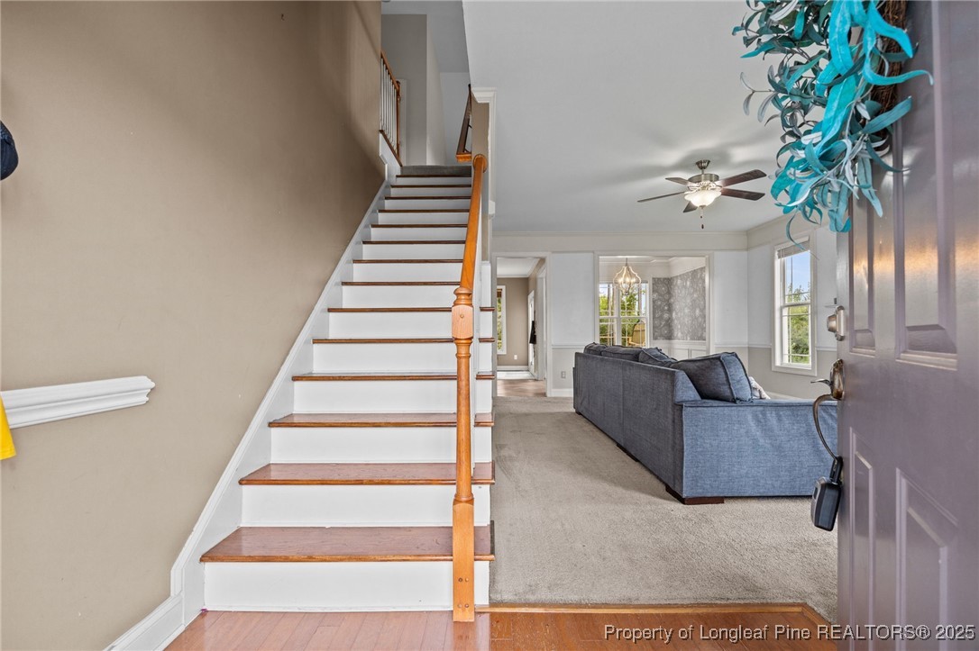 10 Braxton Court Erwin, NC 28339 - Photo 5 of 28 a living room with furniture and a potted plant