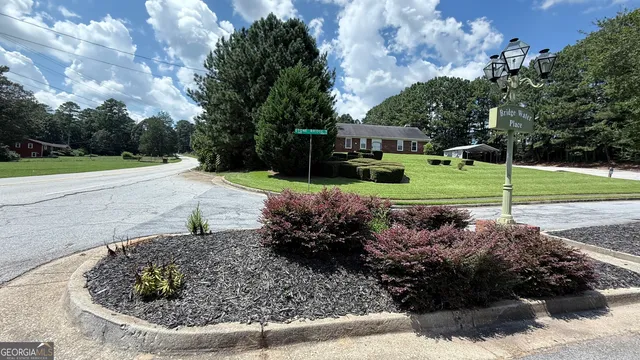 a view of a park with large trees