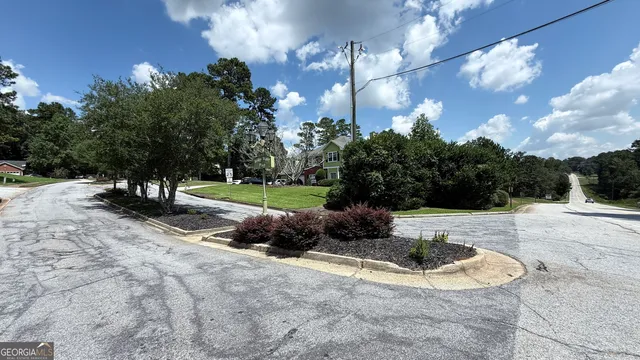 a view of a park with plants and trees