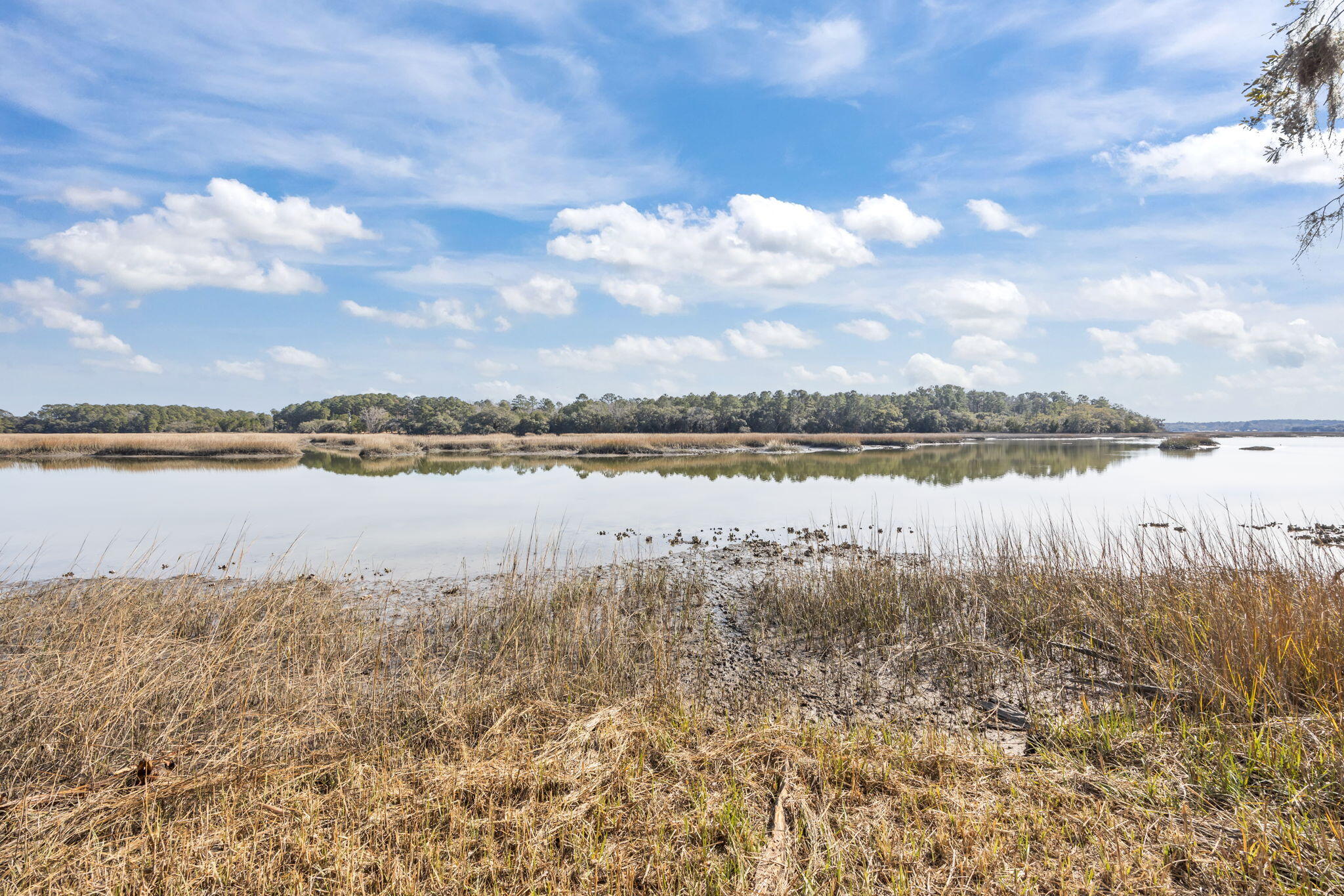 4 Summit Plantation Road Meggett, SC 29449 - Photo 12 of 14 23-web-or-mls-470A1725