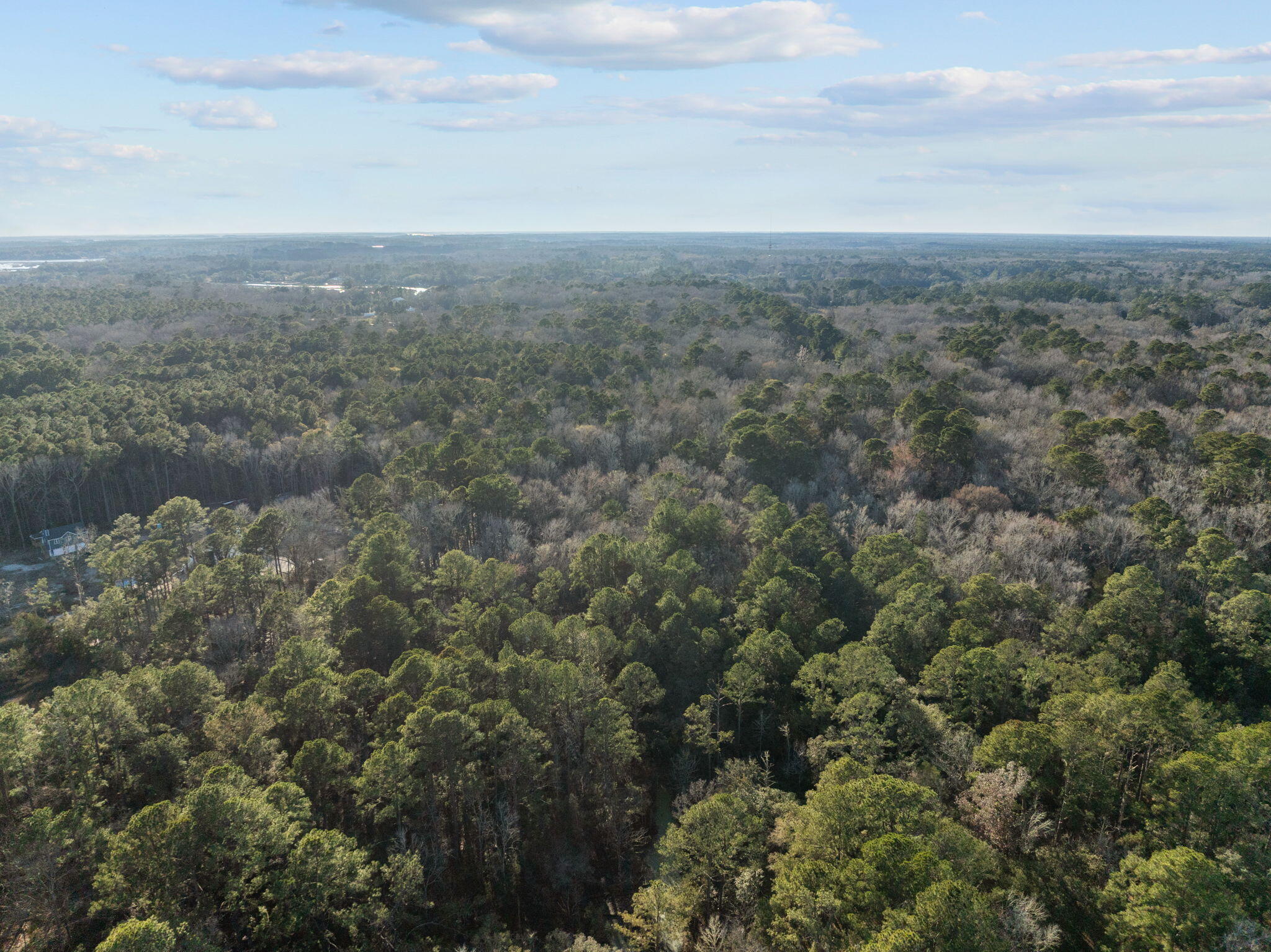 4 Summit Plantation Road Meggett, SC 29449 - Photo 4 of 14 9-web-or-mls-DJI_0045