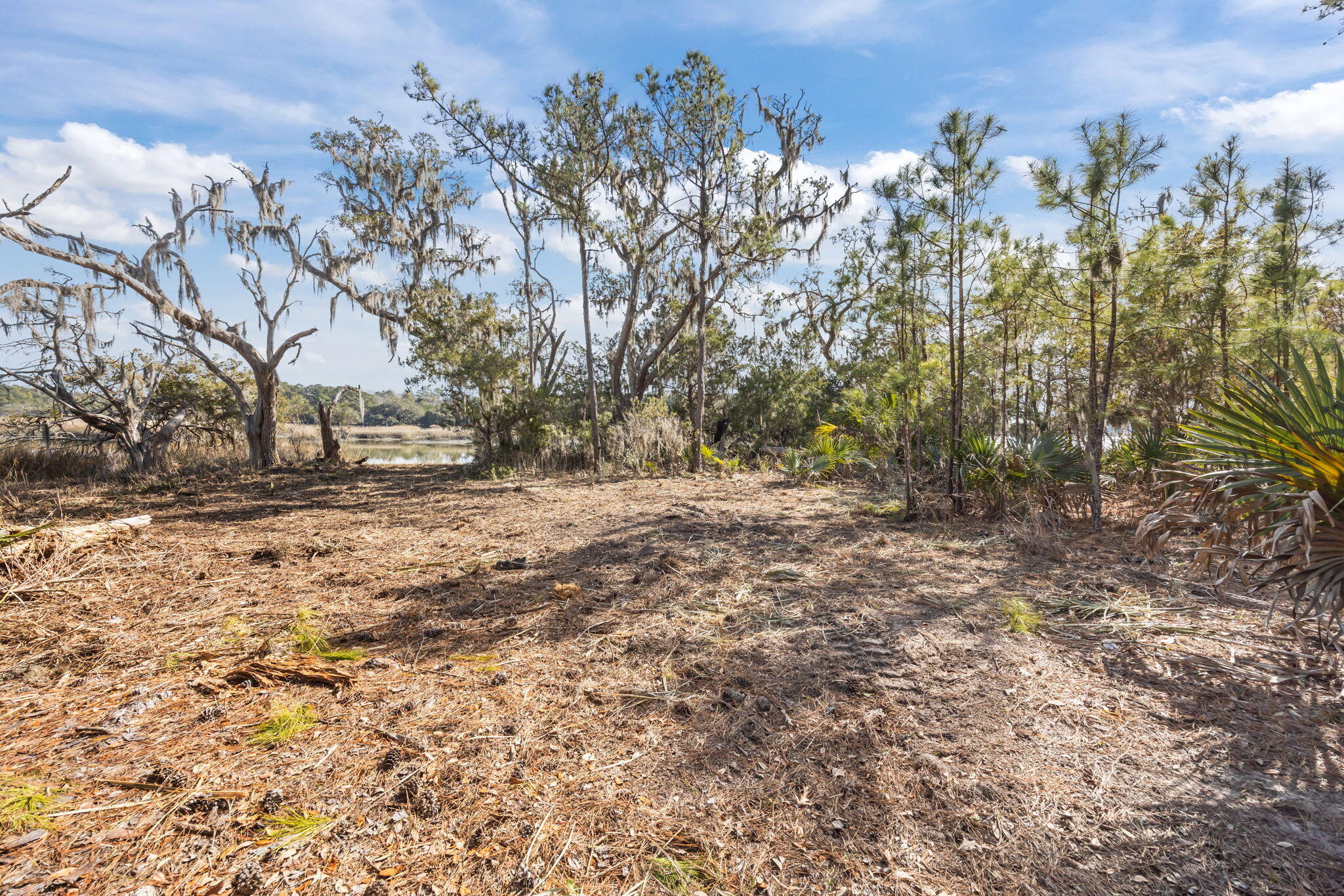 4 Summit Plantation Road Meggett, SC 29449 - Photo 10 of 14 21-web-or-mls-470A1723