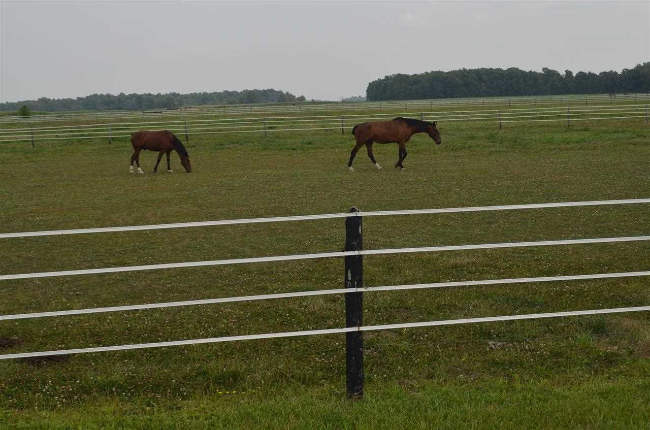 0 Schwartz Road Fort Wayne, IN 46835 - Photo 3 of 5
