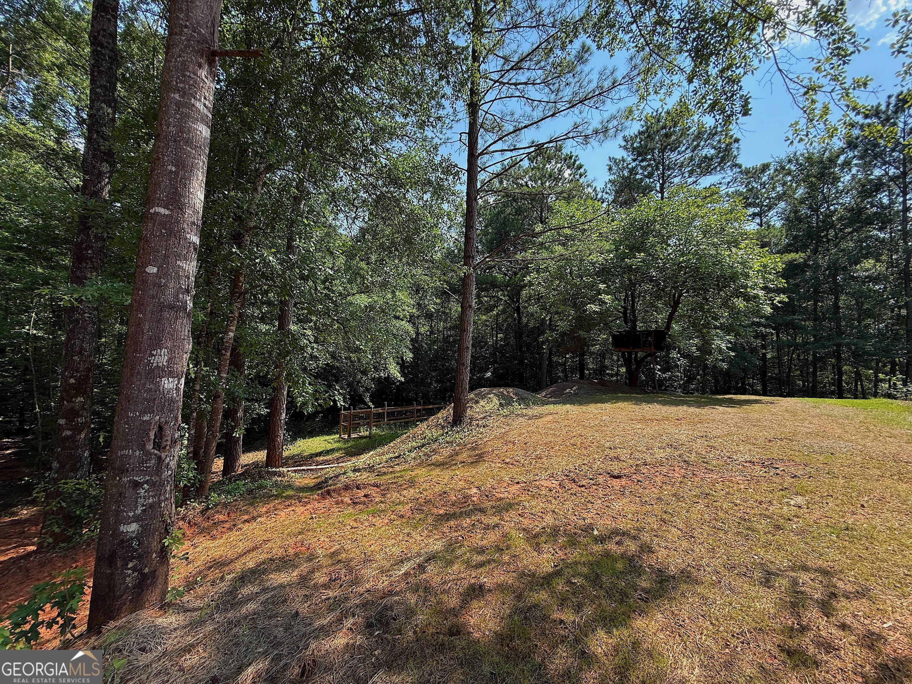 245 Lake Talbot Road Box Springs, GA 31801 - Photo 20 of 31