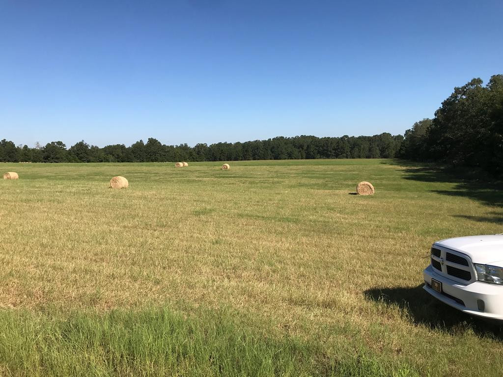 462 Colbert Bridge Road Windsor, SC 29856 - Photo 1 of 18