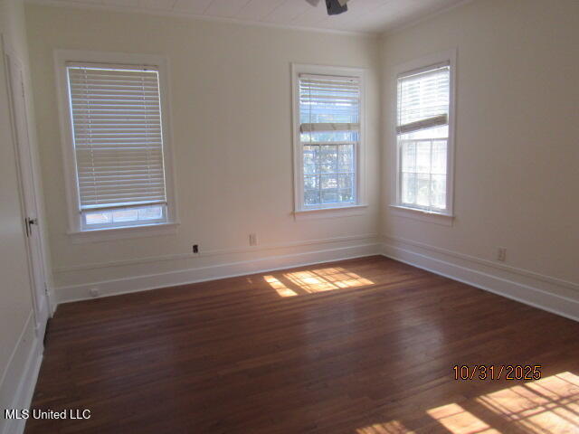 445 East Ridgeway Street Jackson, MS 39206 - Photo 4 of 7 445 E. Ridgeway Street (3)