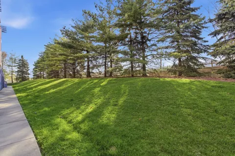 a view of a trees with a yard