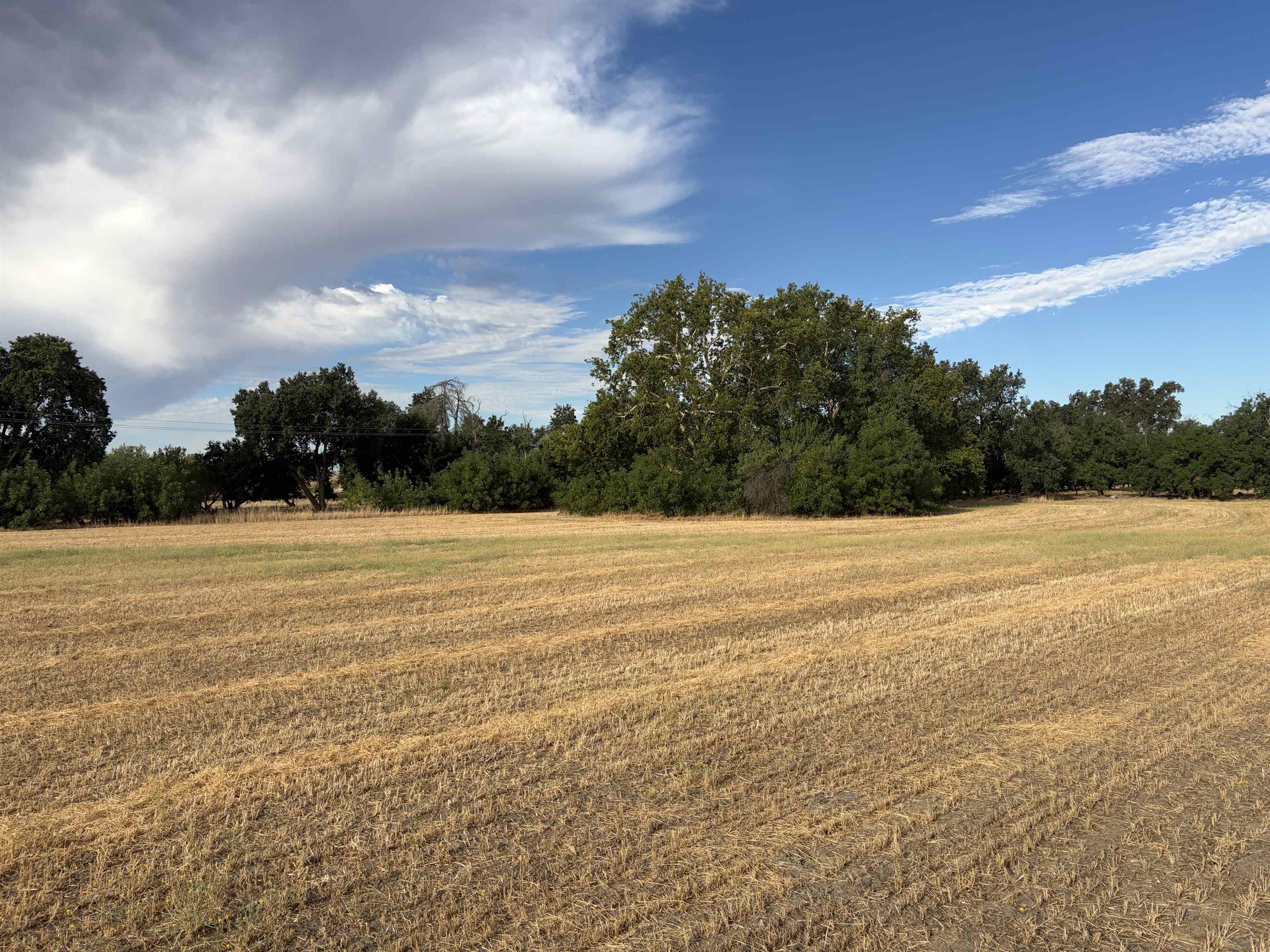 19115 Simpson Road Corning, CA 96021 - Photo 27 of 35