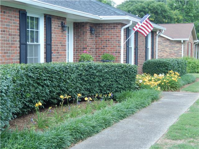 2807 Morgan Road Murfreesboro, TN 37129 - Photo 3 of 20 Great Appeal