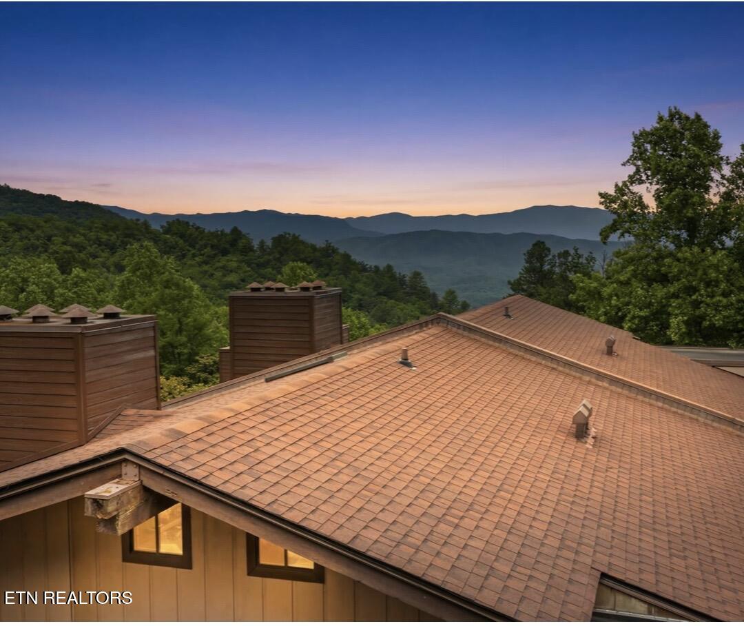 1081 Cove Road, Unit 534 Sevierville, TN 37876 - Photo 18 of 20 IMG_7036