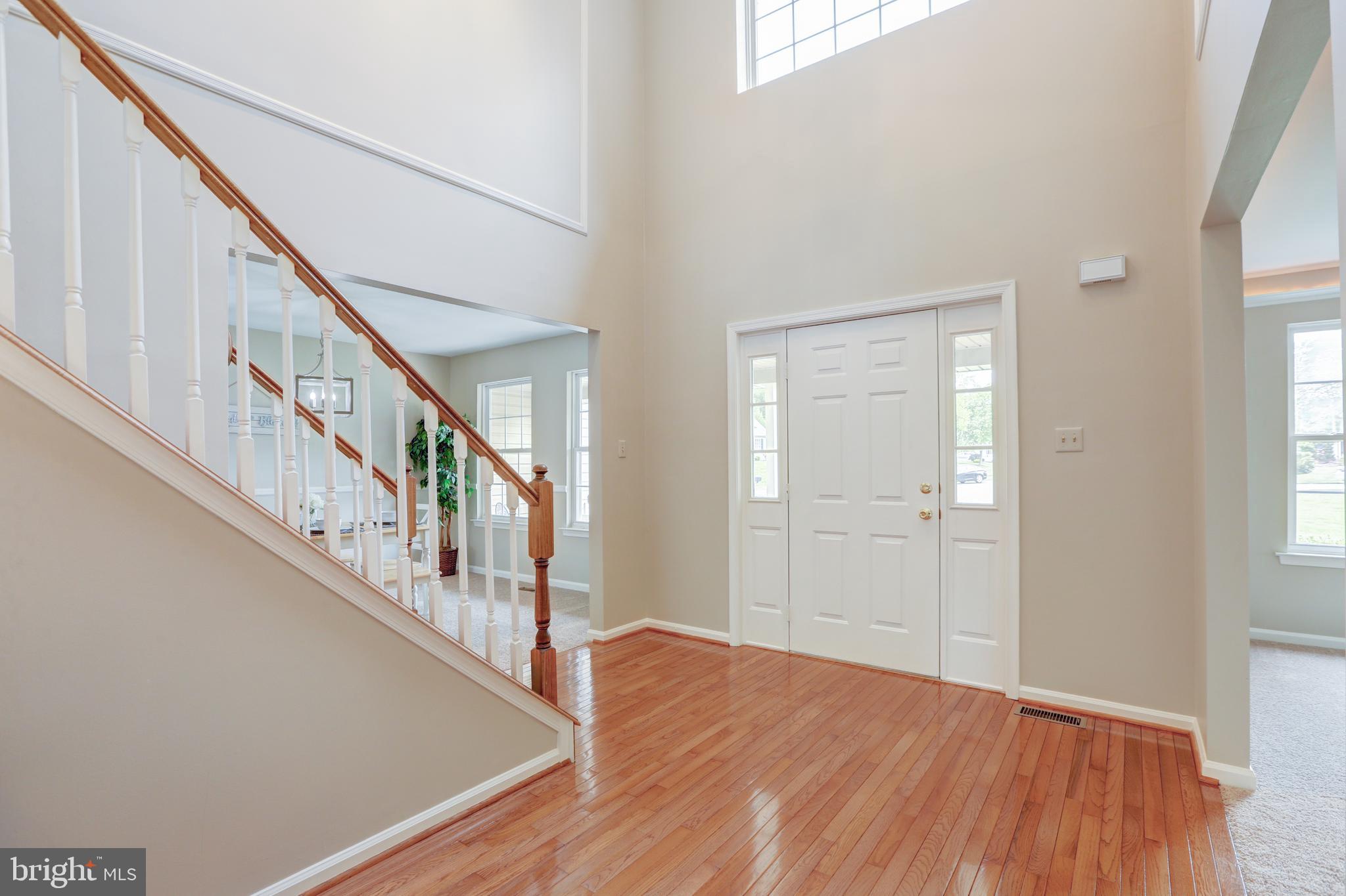 359 Canvasback Road Middletown, DE 19709 - Photo 4 of 89 Gallery Image 4