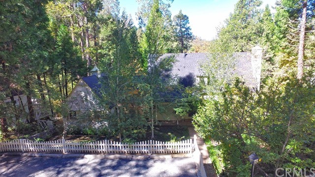 167 Cedar Circle Lake Arrowhead, CA 92352 - Photo 32 of 38 a view of yard