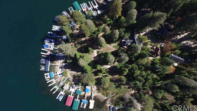 167 Cedar Circle Lake Arrowhead, CA 92352 - Photo 37 of 38 a view of a flower