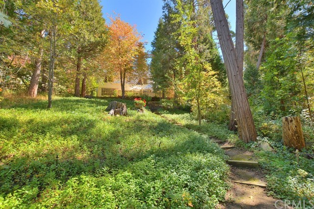 167 Cedar Circle Lake Arrowhead, CA 92352 - Photo 4 of 38 a view of a trees with yard