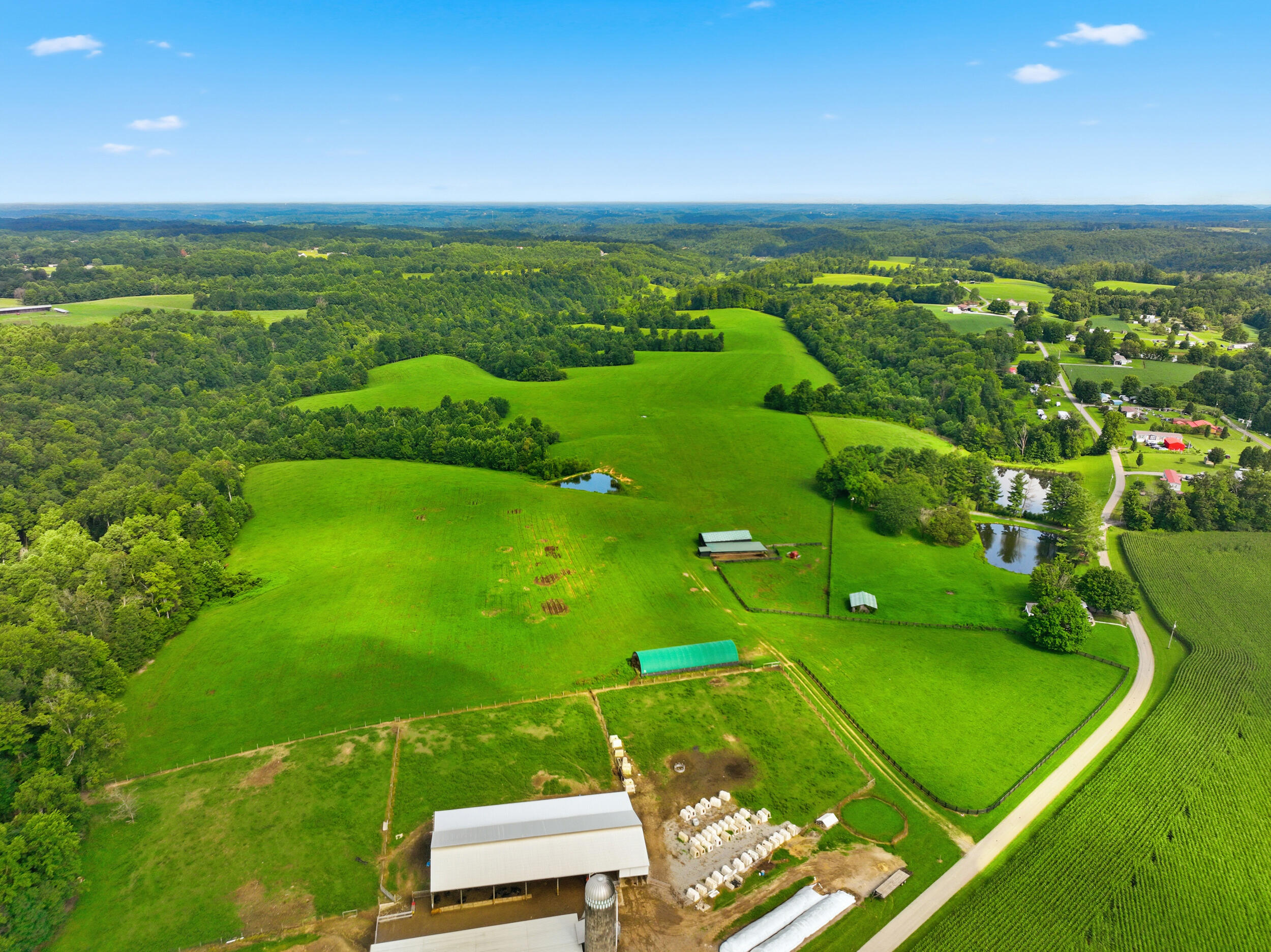 1219 Blevins Road Liberty, KY 42539 - Photo 16 of 37 dji_0329