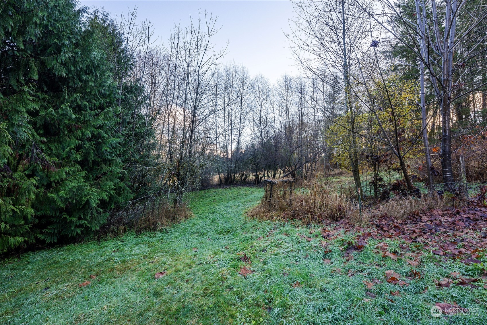 225 Magnus Road Onalaska, WA 98570 - Photo 26 of 35 Gallery Image 26