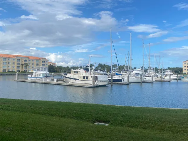 a view of a lake with a large trees
