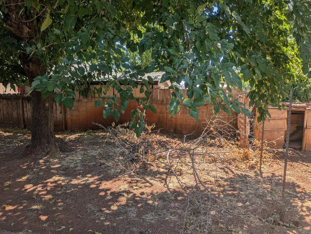 1118 4th Street Redding, CA 96002 - Photo 11 of 16 a view of a backyard of the house