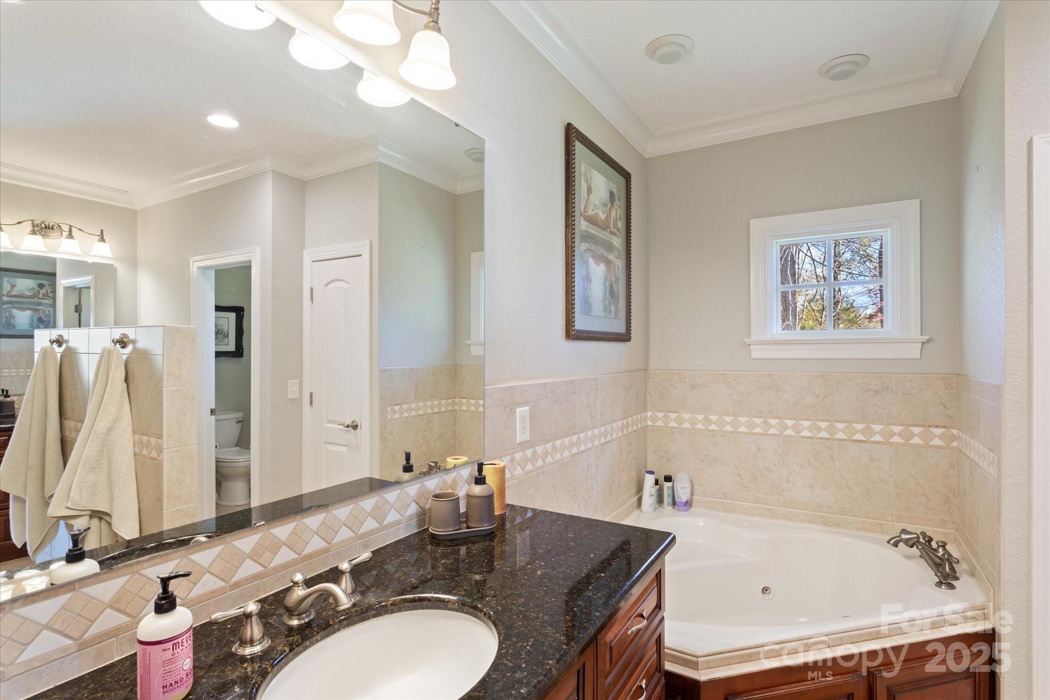 733 Plantation Dr Extension Rutherfordton, NC 28139 - Photo 19 of 34 a bathroom with a granite countertop sink and a mirror