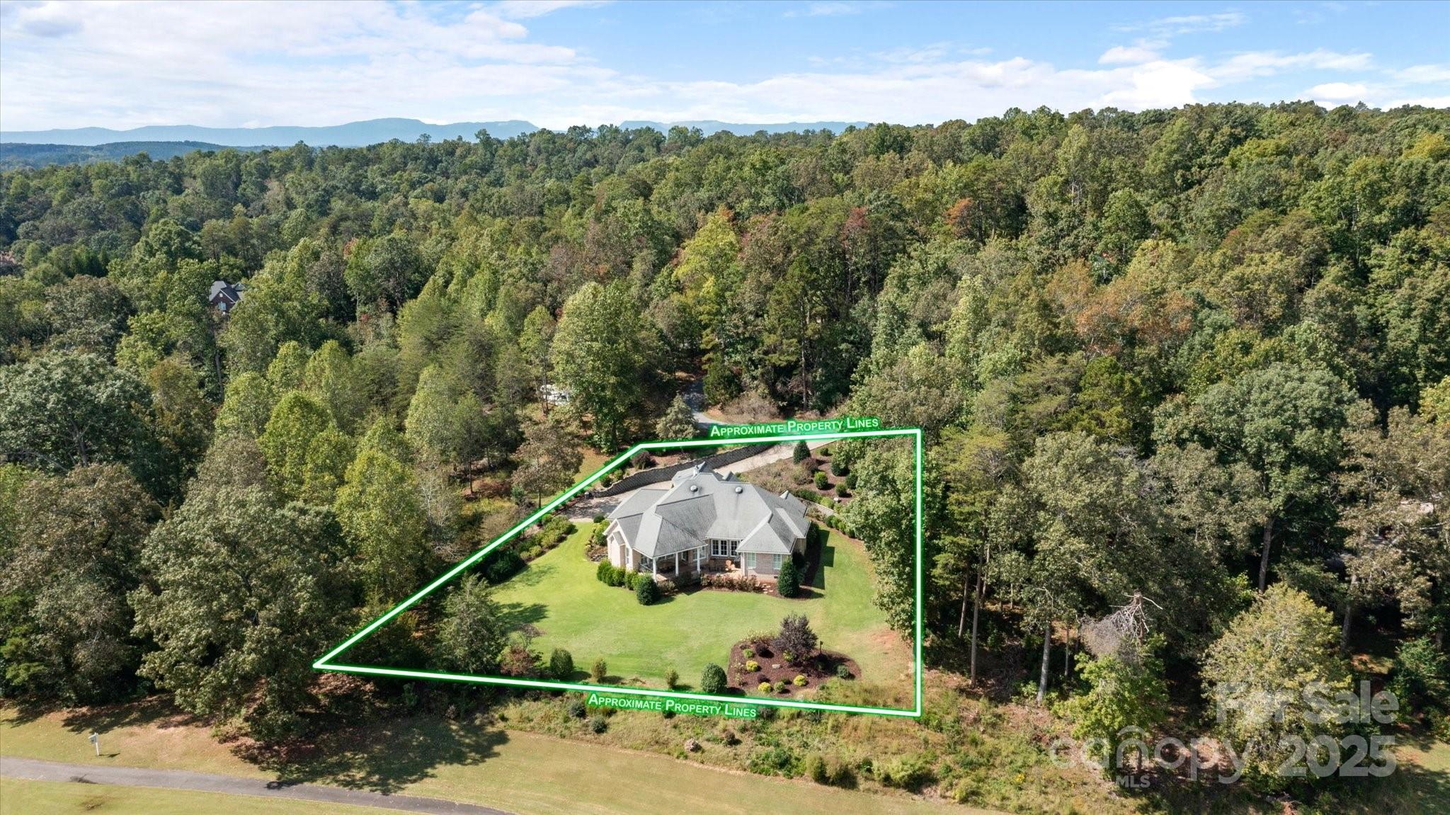 733 Plantation Dr Extension Rutherfordton, NC 28139 - Photo 6 of 34 an aerial view of a houses with a yard