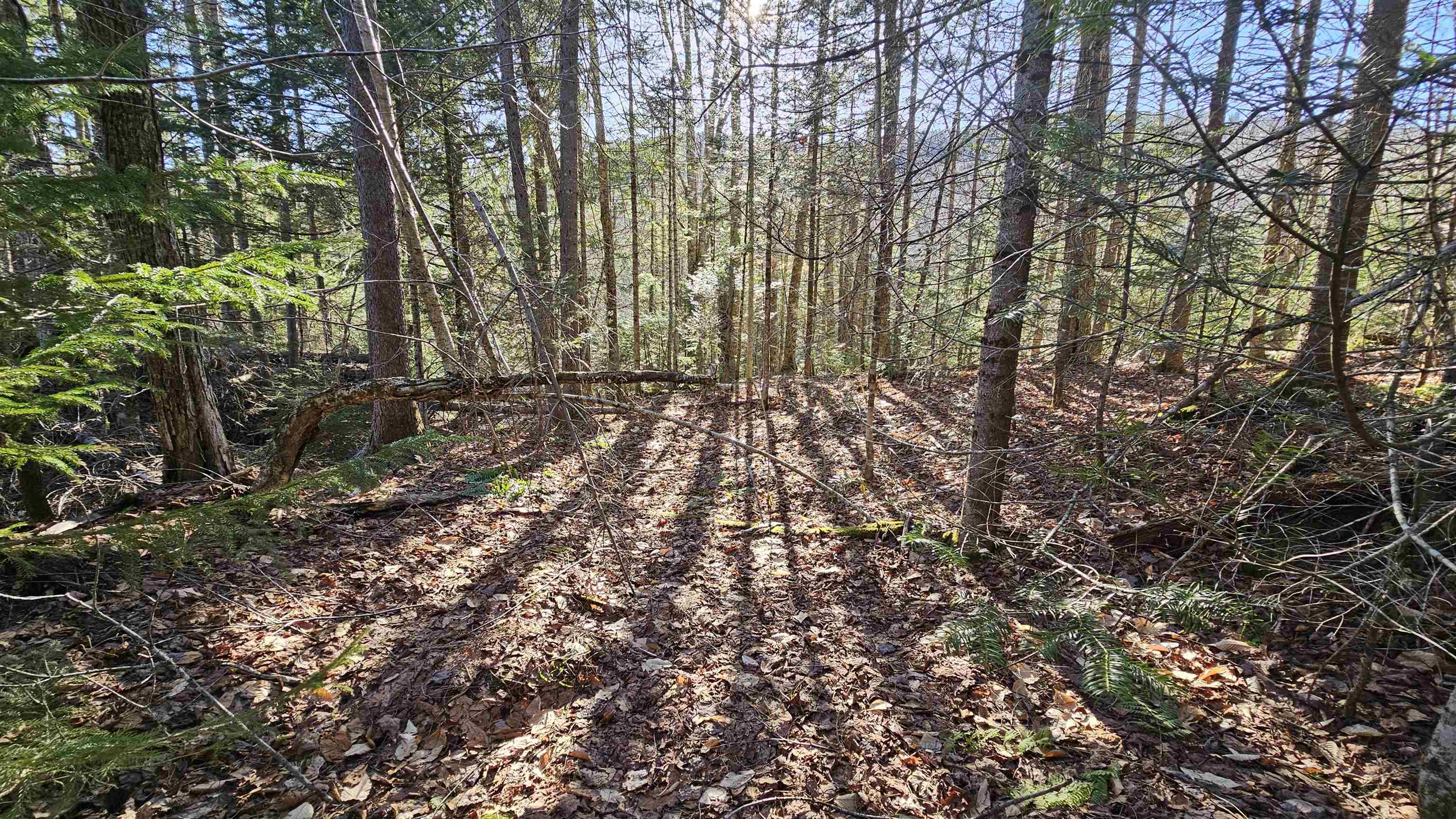 512 Woodbury Mountain Road Calais, VT 05648 - Photo 32 of 59