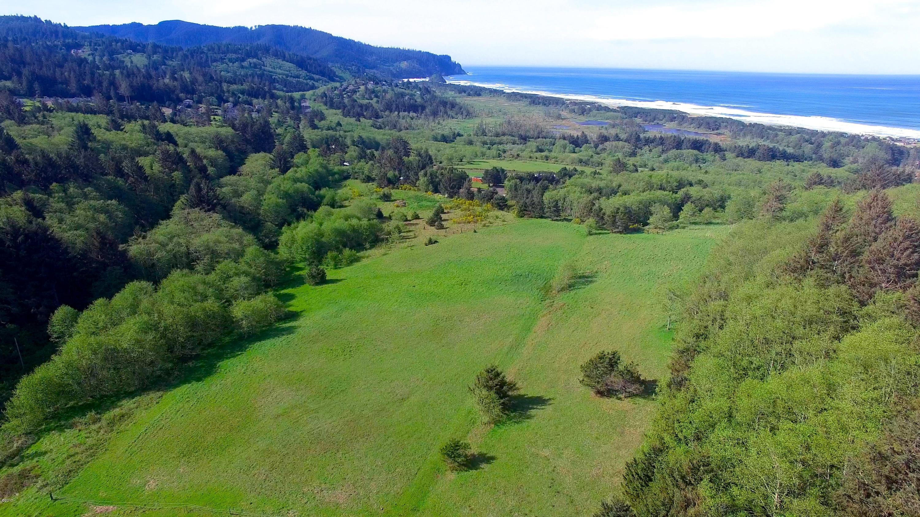 6205 Scherzinger Road Neskowin, OR 97149 - Photo 87 of 88 Aerial of Pasture & View
