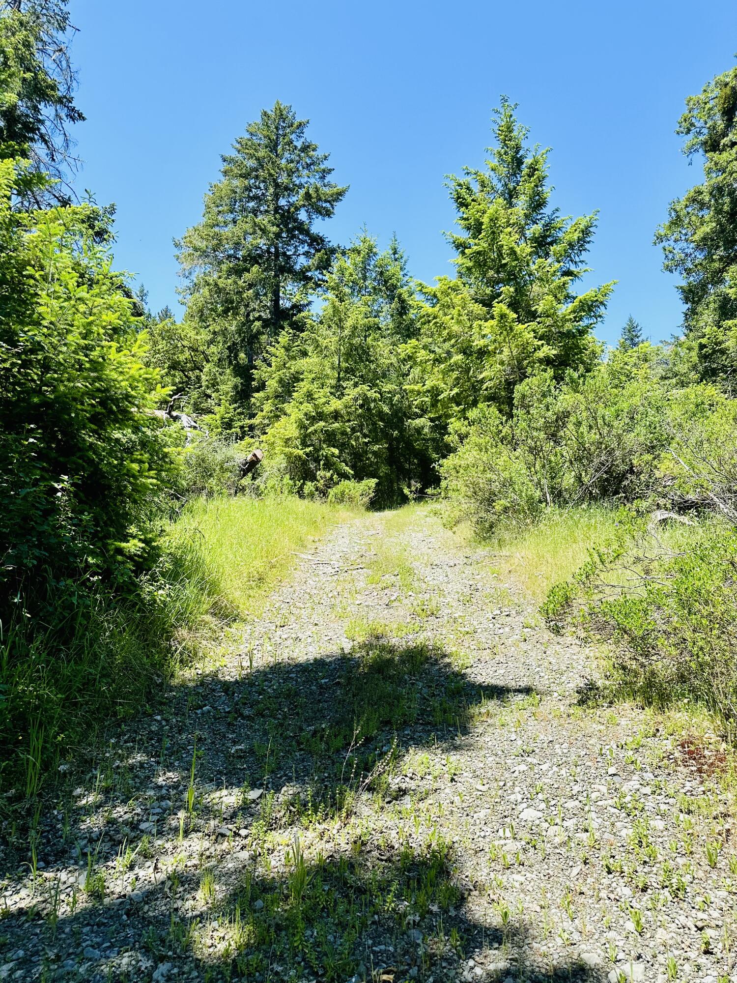 400 Seely Creek Road Redway, CA 95560 - Photo 13 of 73