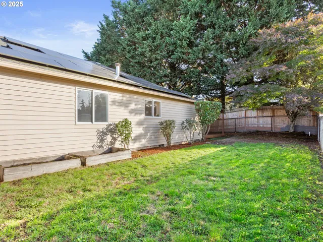 a view of a backyard with a tree