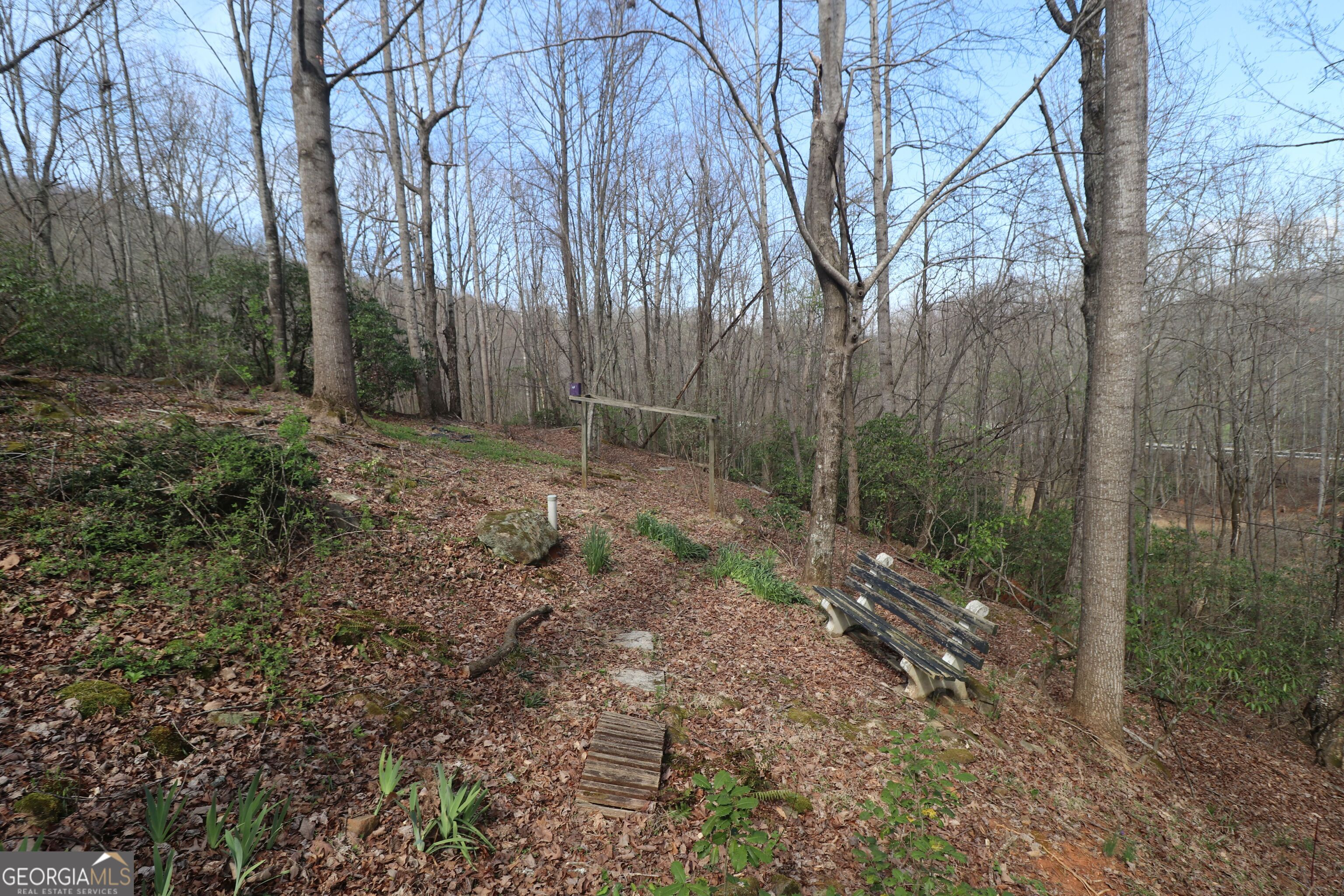 14 Gove Road Sautee Nacoochee, GA 30571 - Photo 8 of 36