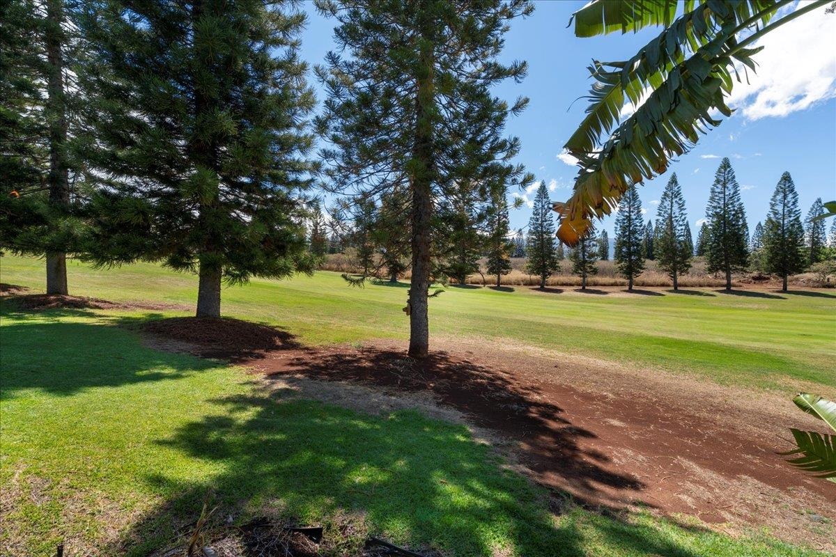 2740 Liholani Street, Unit 10 Pukalani, HI 96768 - Photo 34 of 50 a view of a park