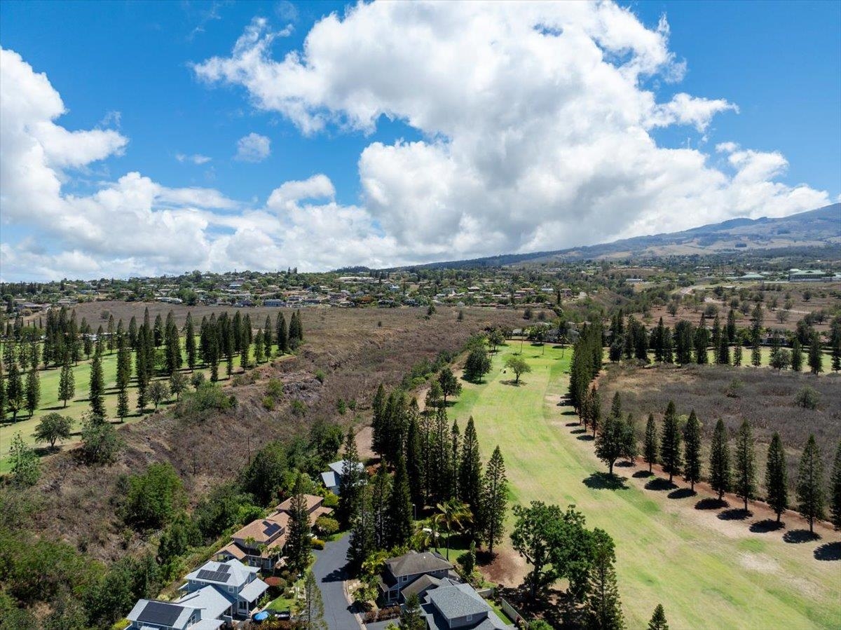 2740 Liholani Street, Unit 10 Pukalani, HI 96768 - Photo 5 of 50 a view of a lake