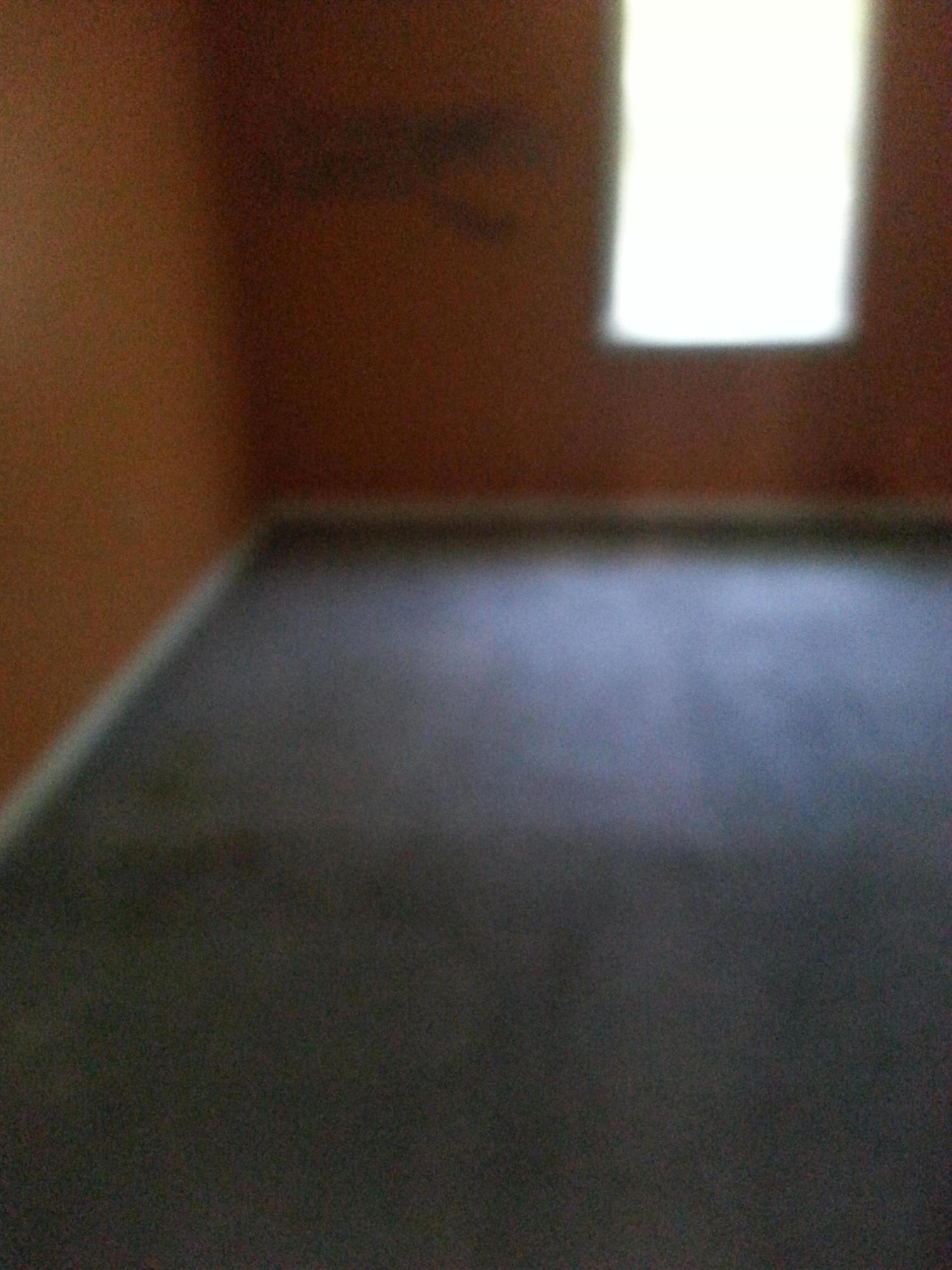 9525 Koester Road Ladson, SC 29456 - Photo 6 of 10 bedroom 1