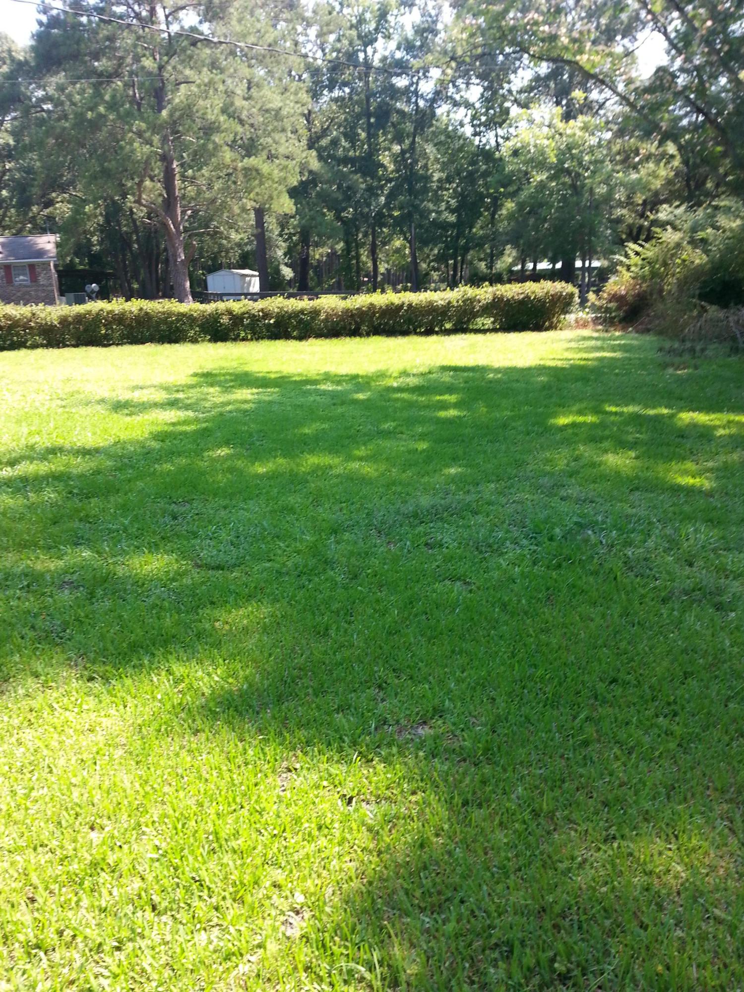 9525 Koester Road Ladson, SC 29456 - Photo 9 of 10 koester side yeard